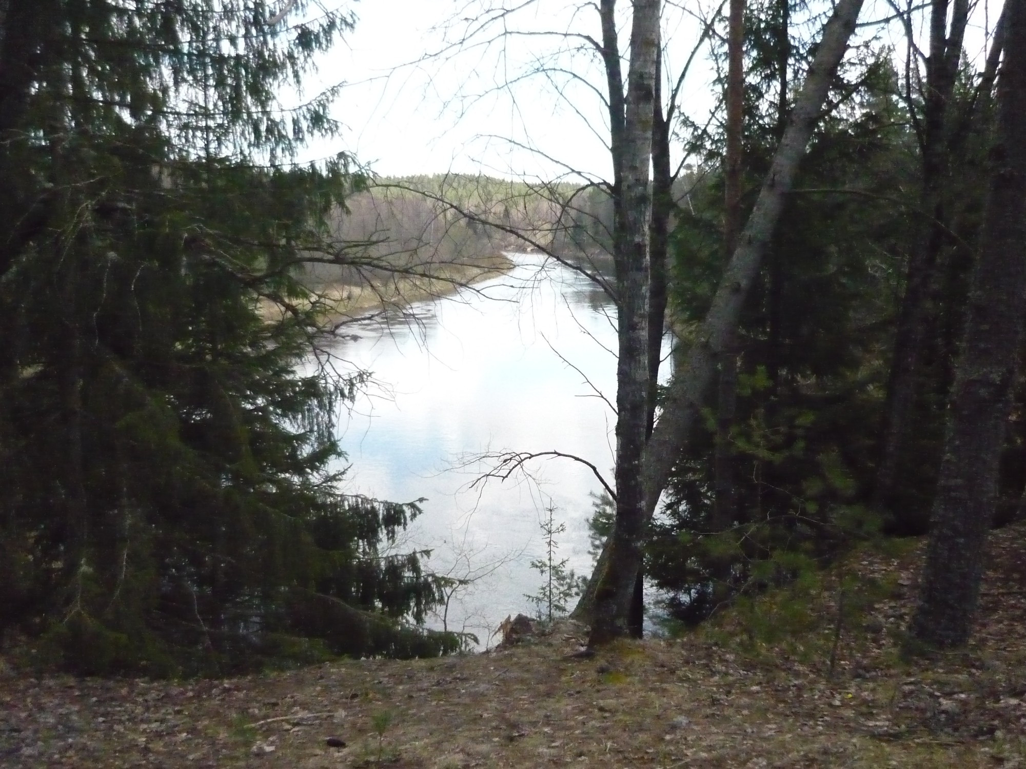 Gauja National Park, Latvia