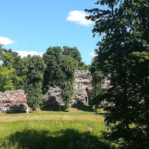 Развалины Замка Вильянди, Эстония