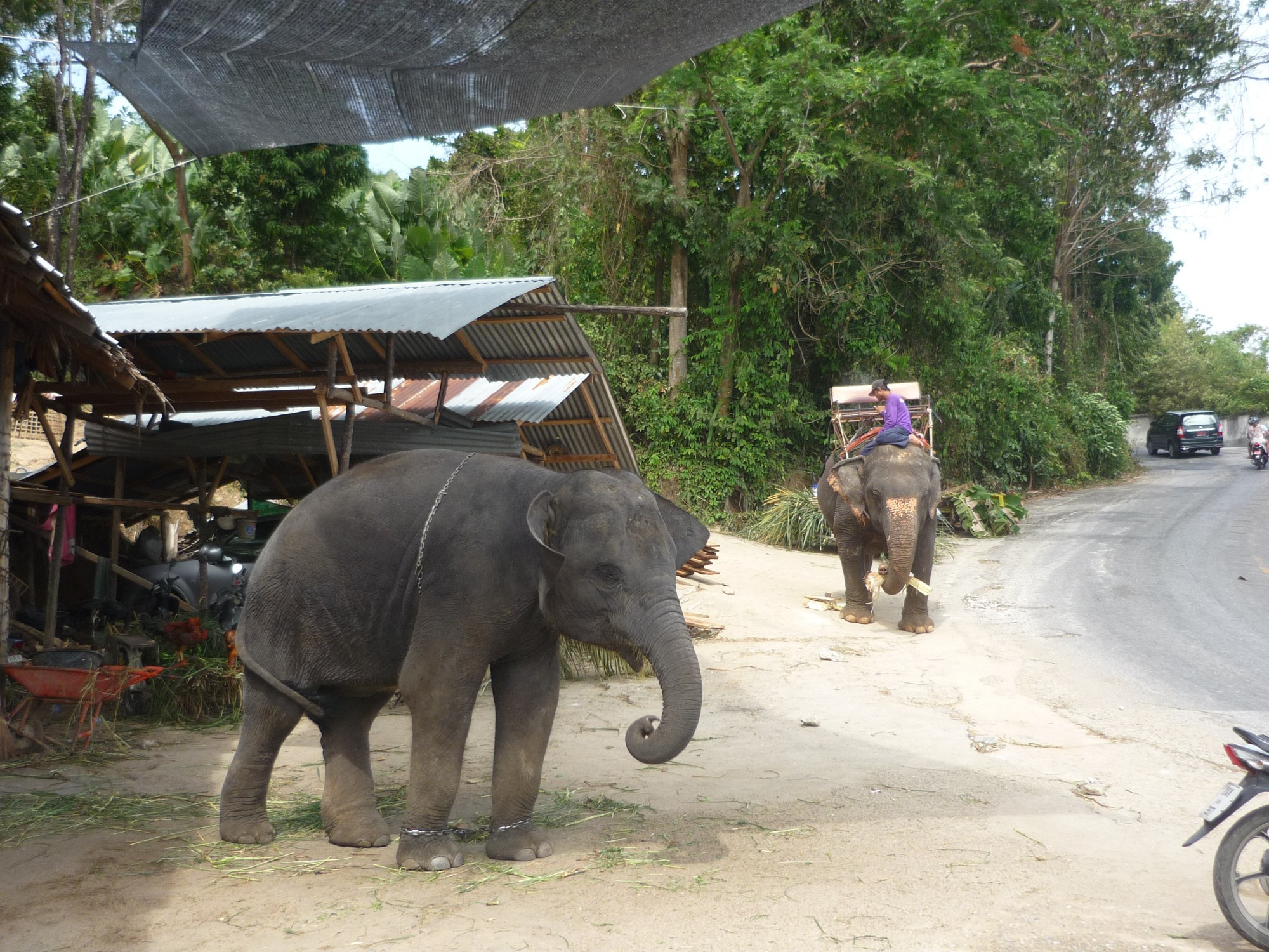 Phuket, Thailand