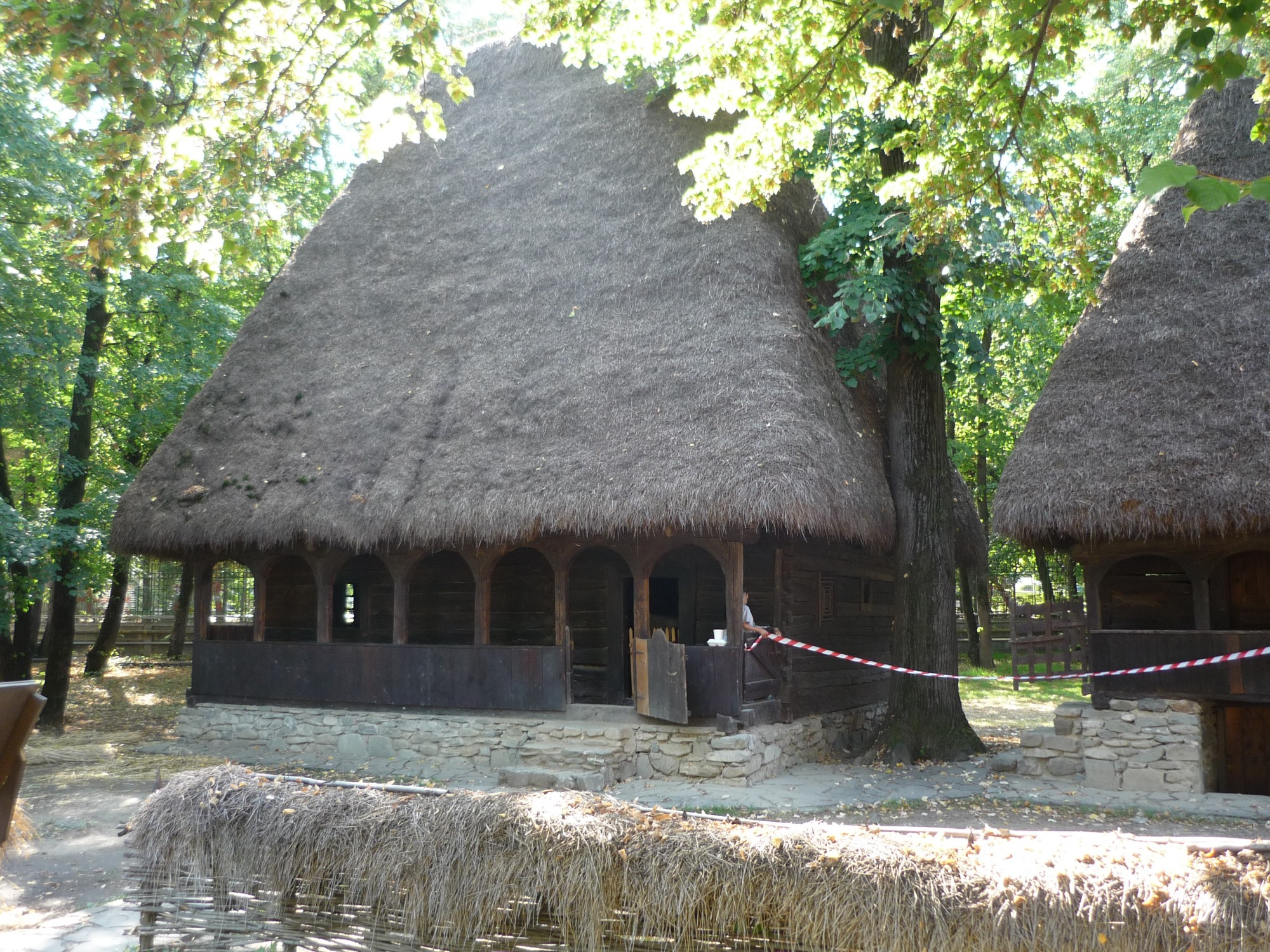 Димитрие Густи, Romania