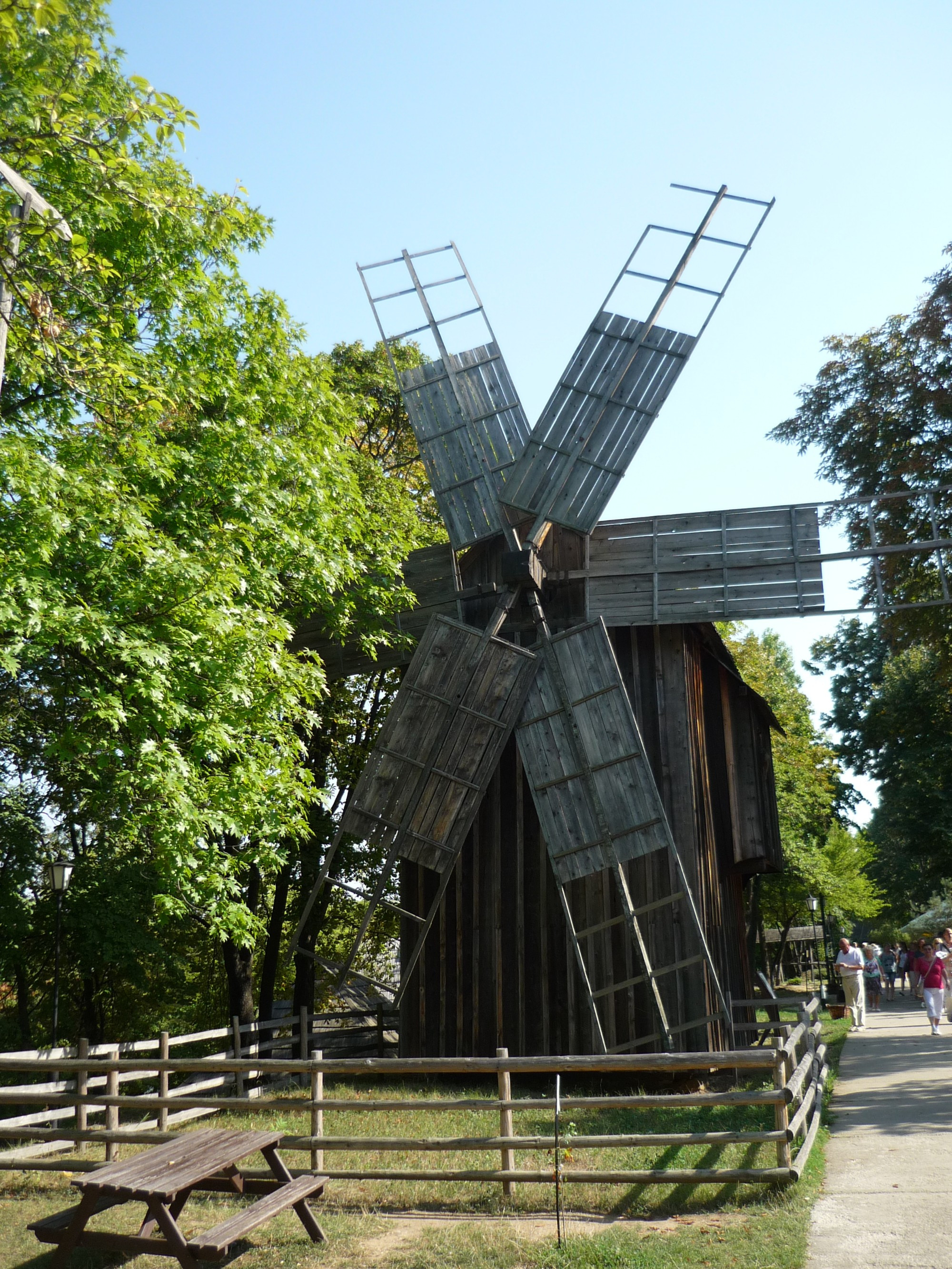 Димитрие Густи, Romania