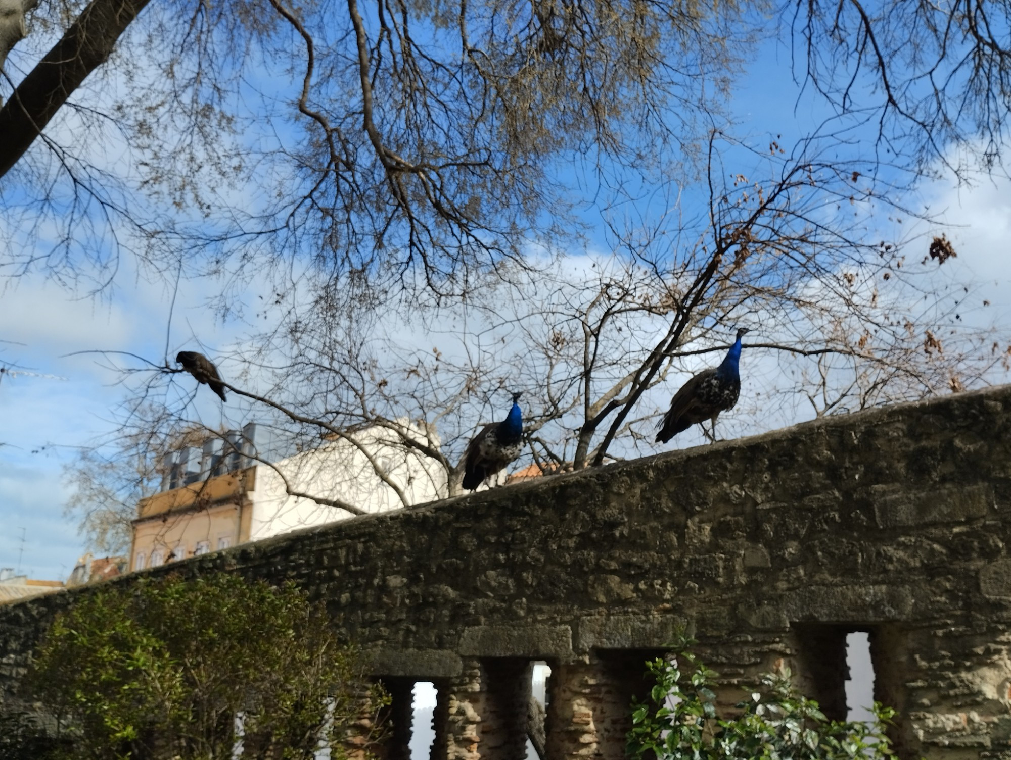 Lisbon, Portugal