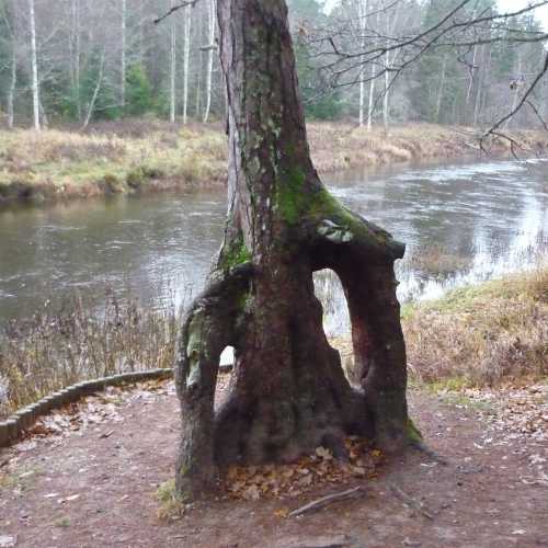Природный парк Сканькалне, Латвия