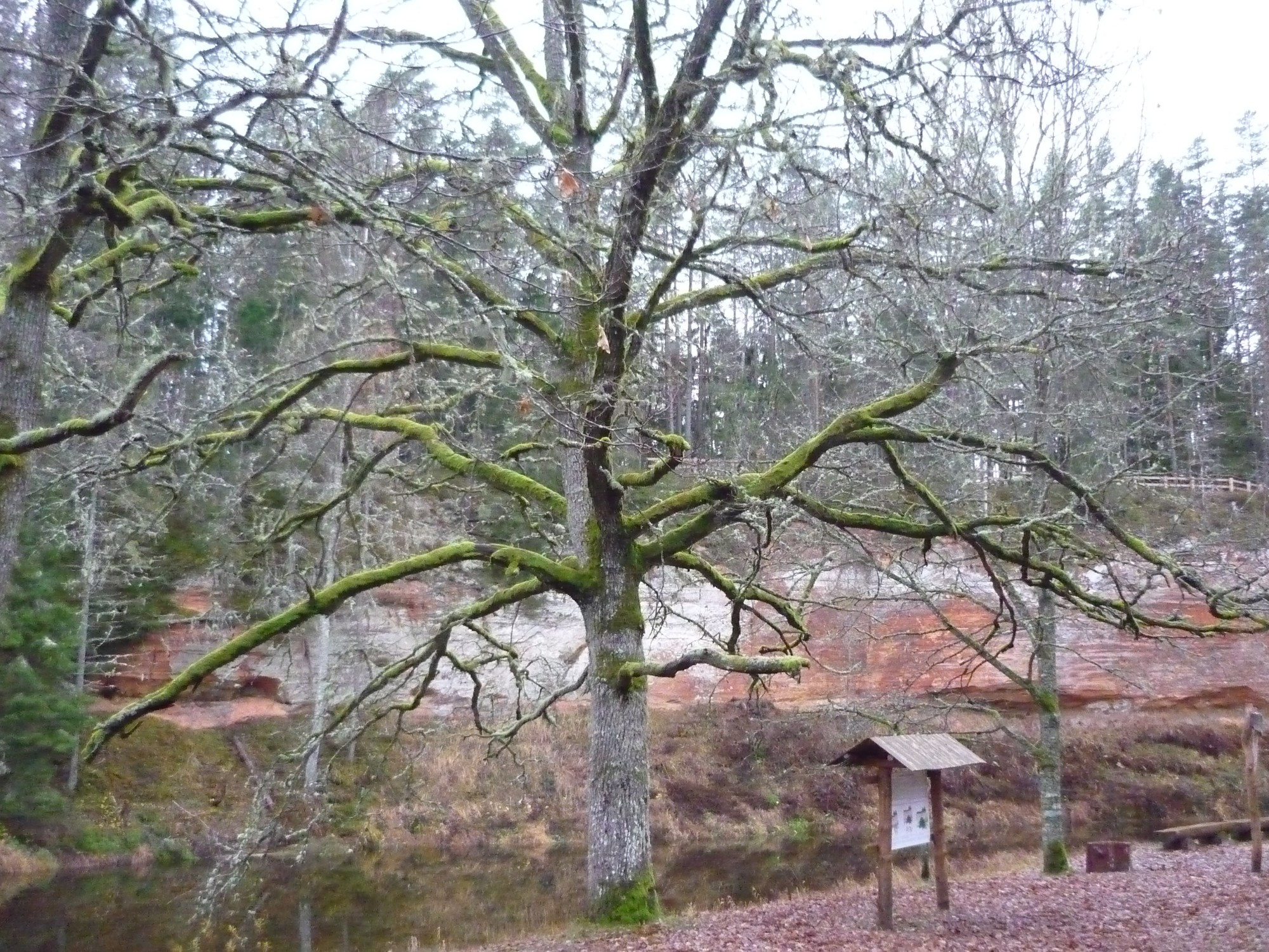 Природный парк Сканькалне, Latvia