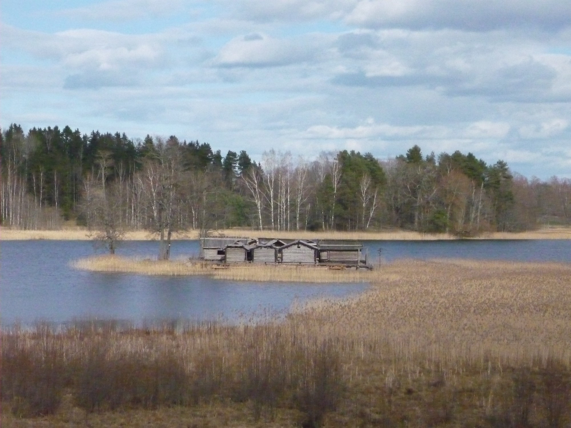 Арайши, Латвия