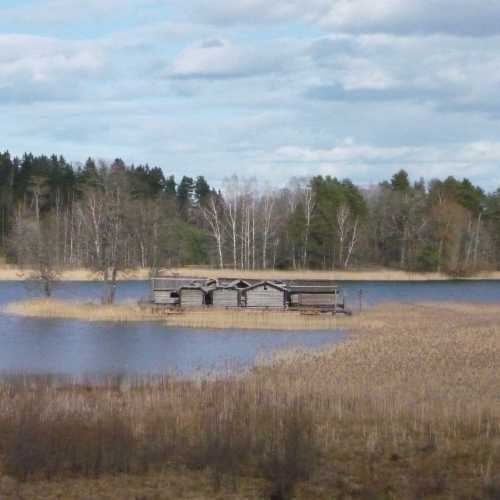 Арайши, Латвия