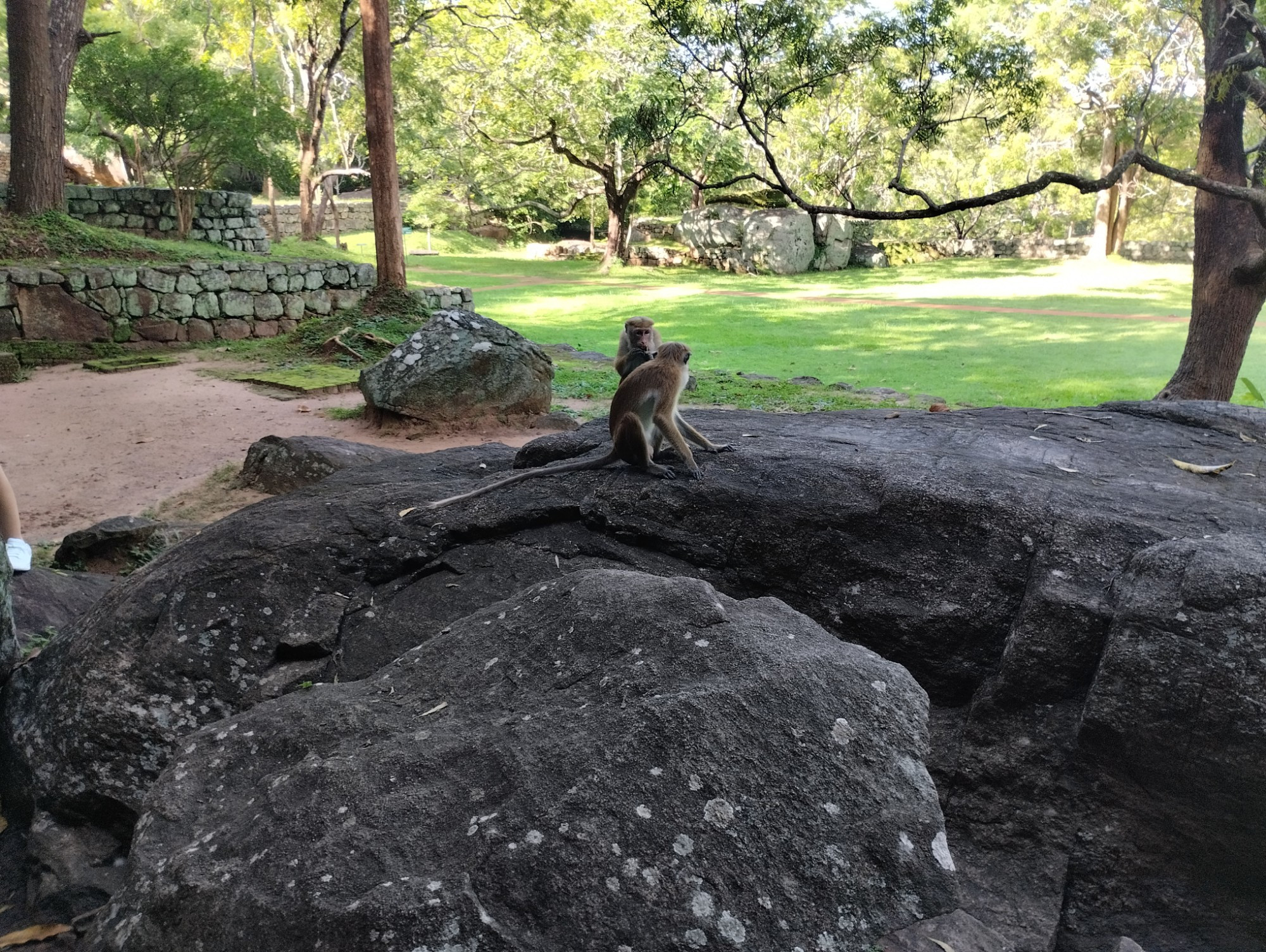 Sigiriya, Sri Lanka