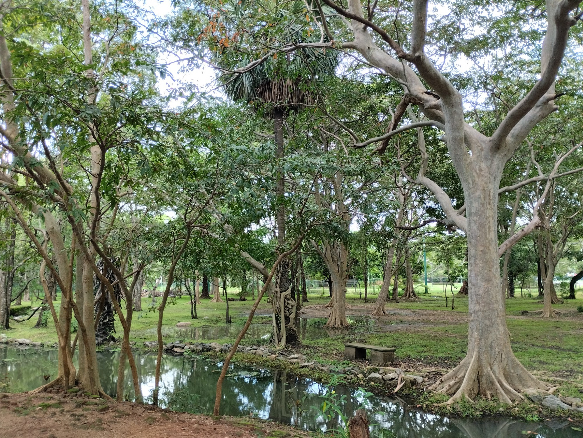 Polonnaruwa, Sri Lanka