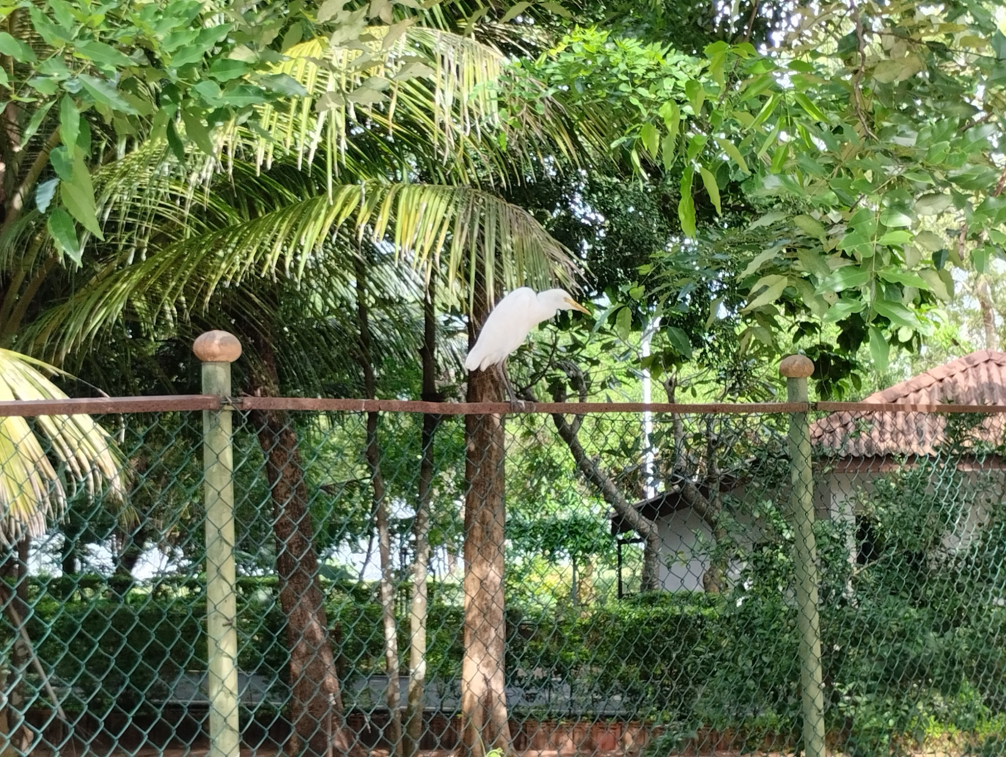 Polonnaruwa, Sri Lanka