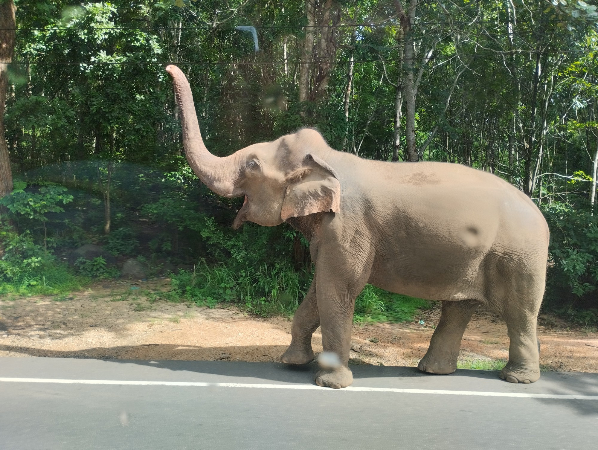 Эко-парк Хурулу, Sri Lanka