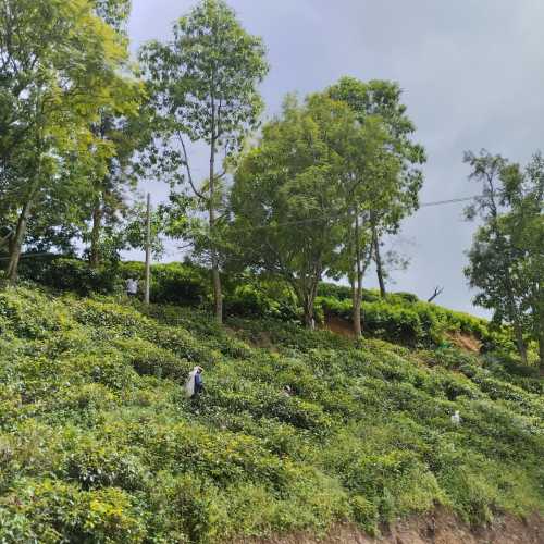 Гора Малый пик Адама, Sri Lanka