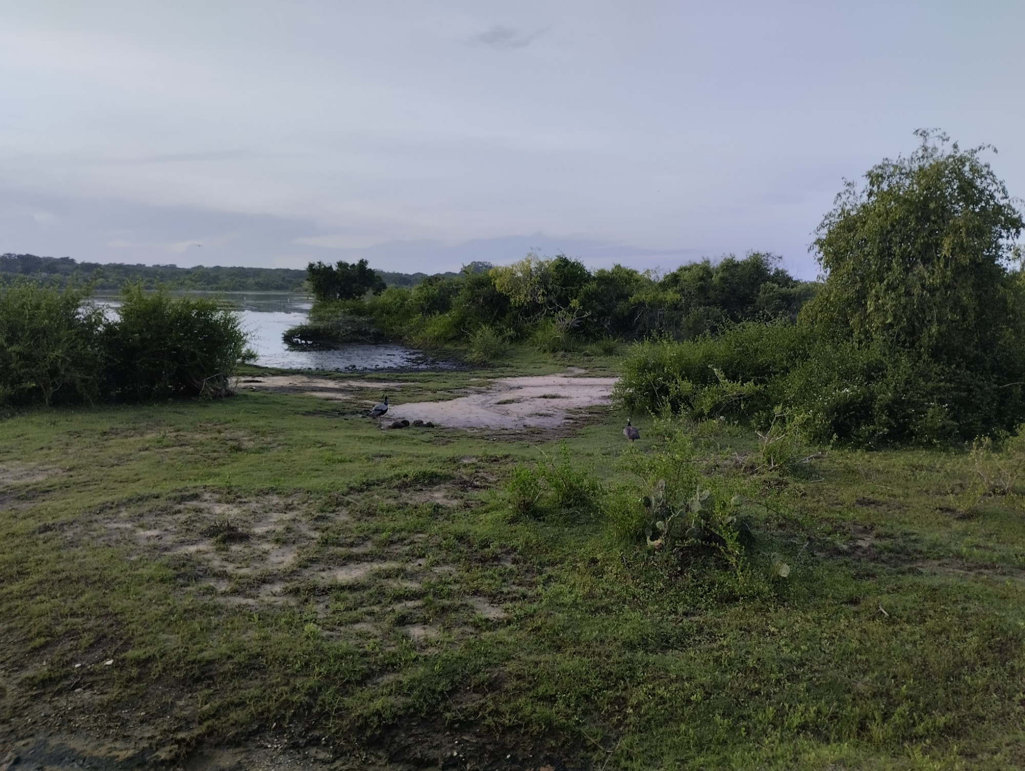 Yala National Park, Sri Lanka