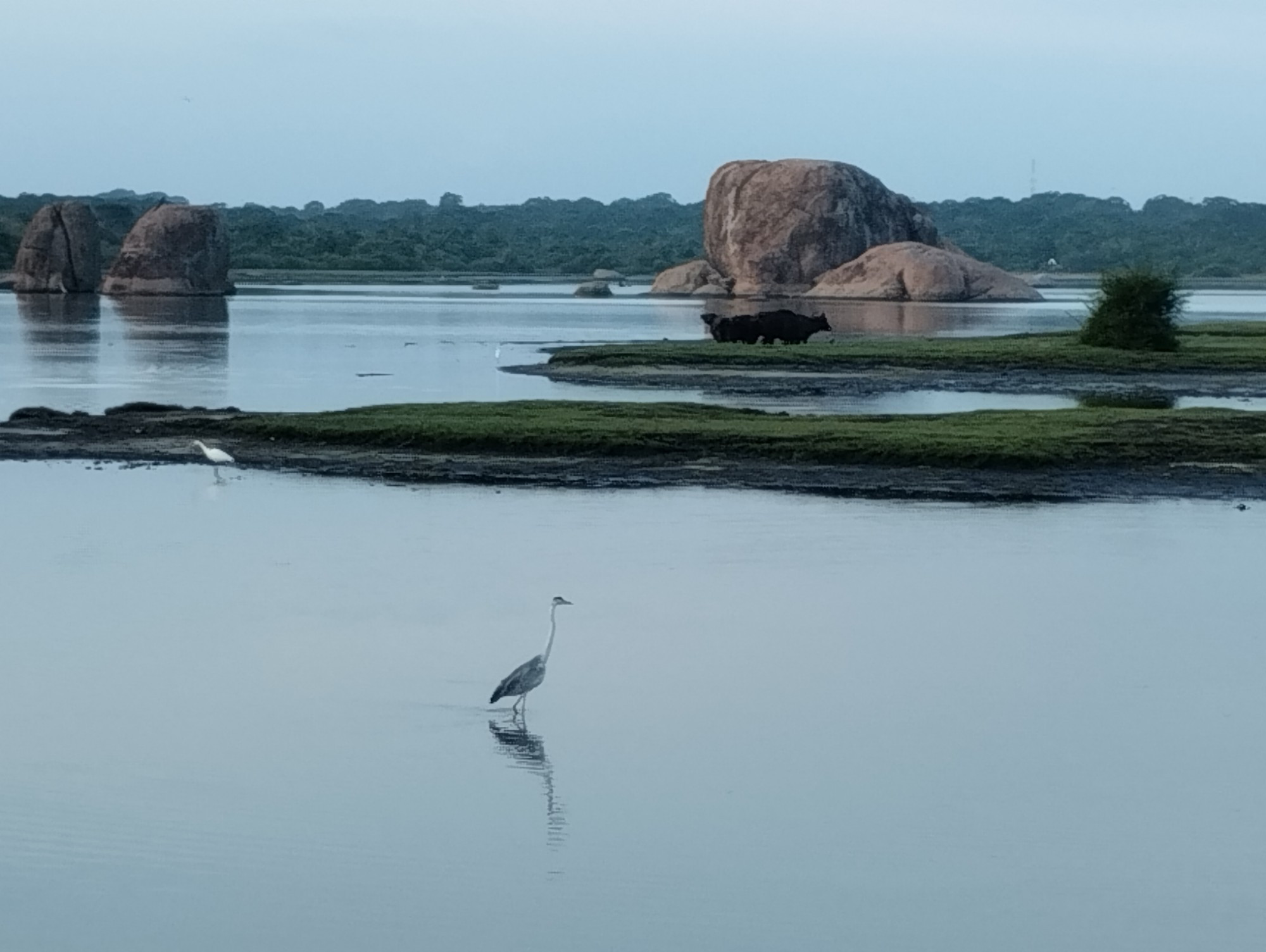 Yala National Park, Sri Lanka