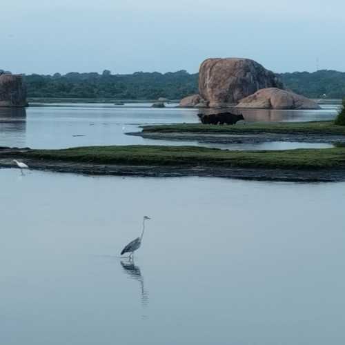 Национальный парк Яла, Шри-Ланка