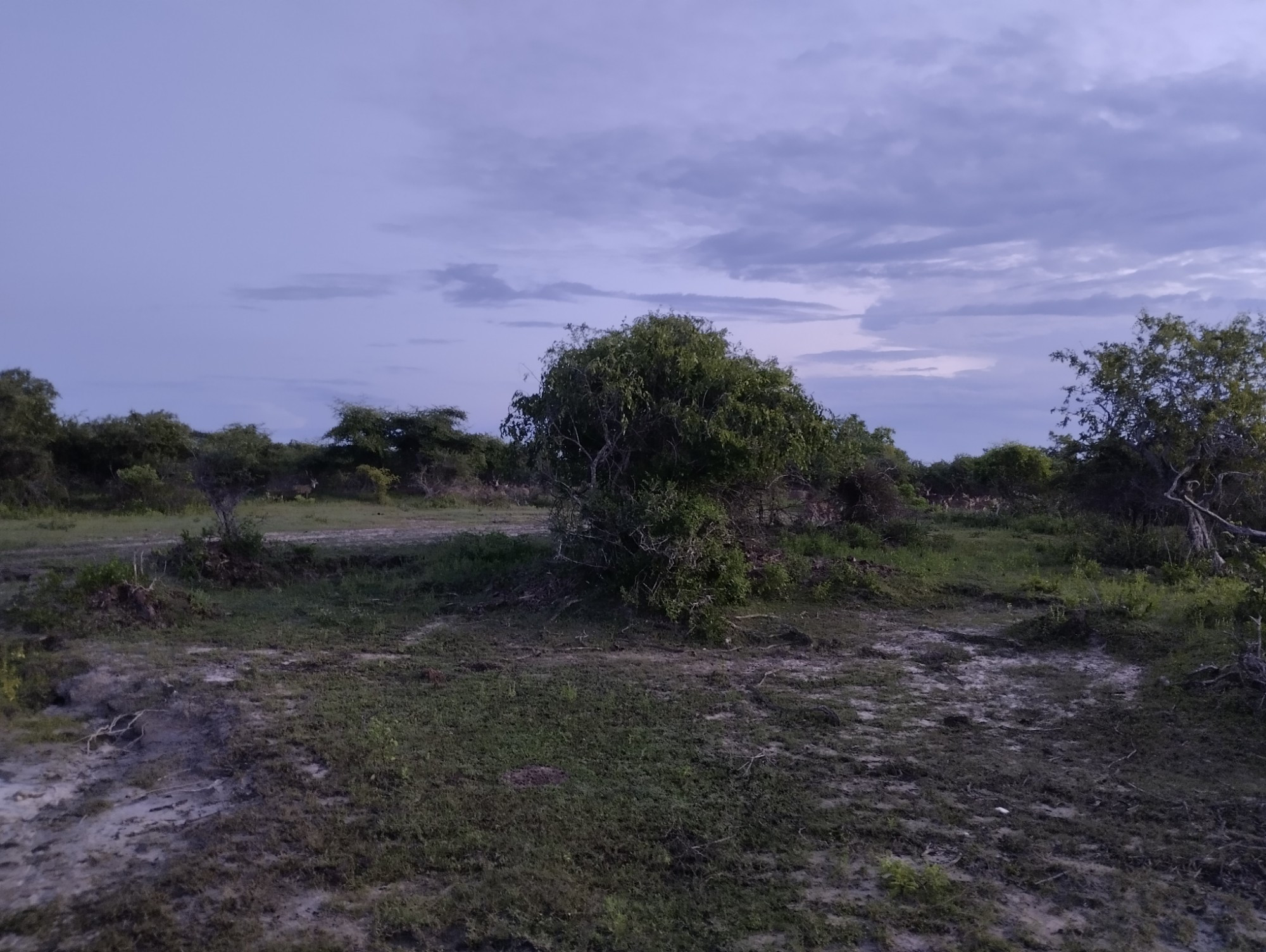 Yala National Park, Sri Lanka