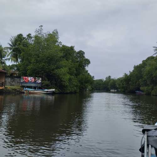 Река Бентота Ганга, Sri Lanka