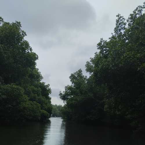 Река Бентота Ганга, Шри-Ланка