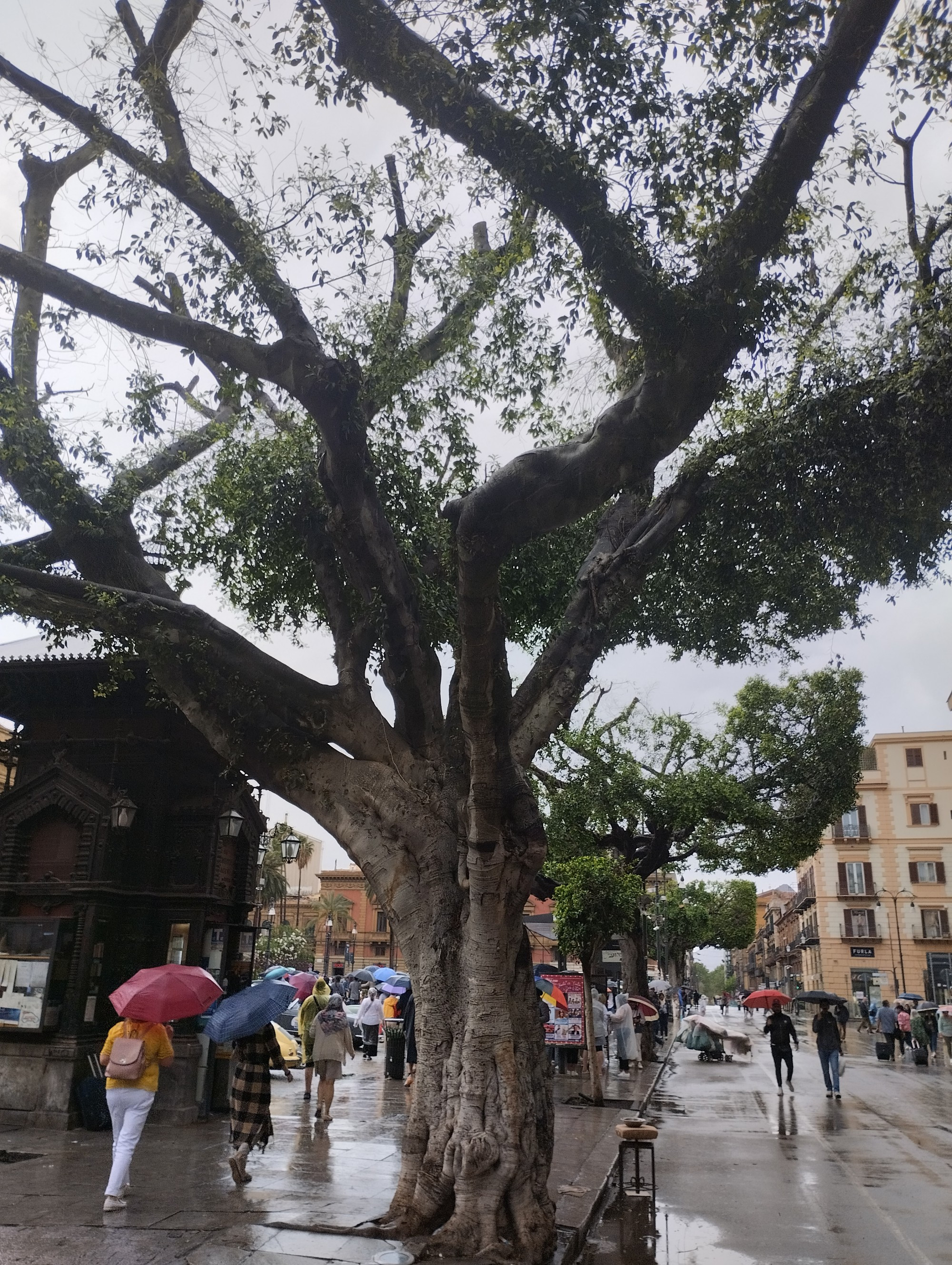 Palermo, Italy