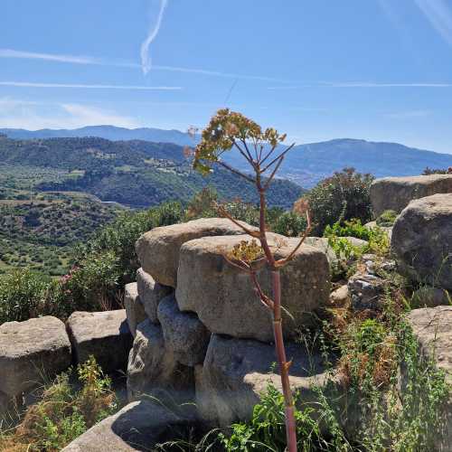 Тиндари, Италия