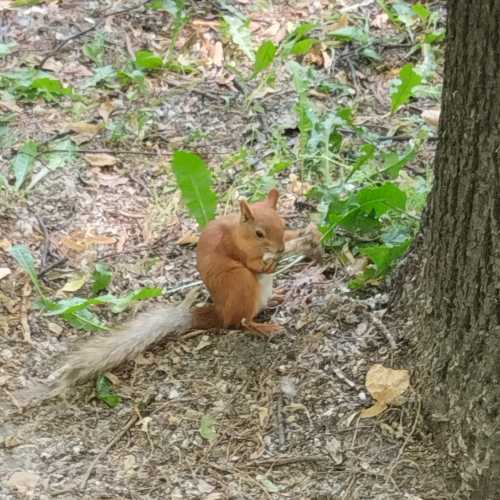 Москва, Россия
