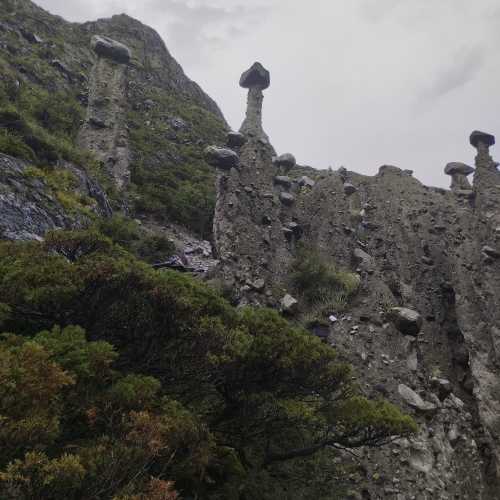 Каменные грибы. Урочище Аккурум, Россия