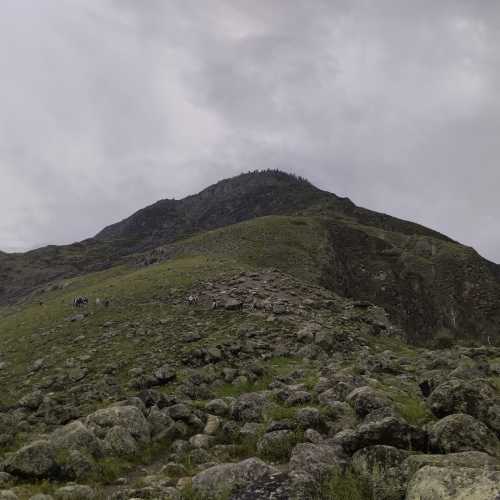 Каменные грибы. Урочище Аккурум, Russia