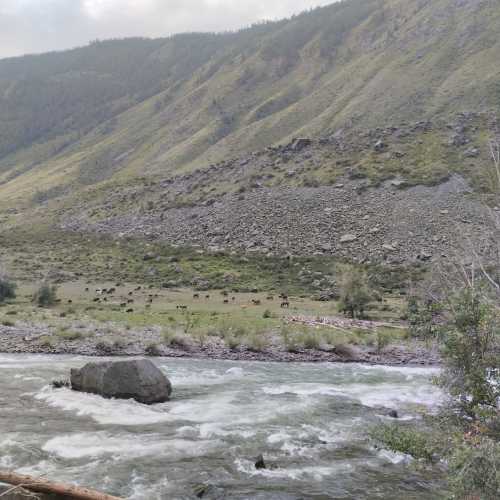 Чулушманская долина, Россия