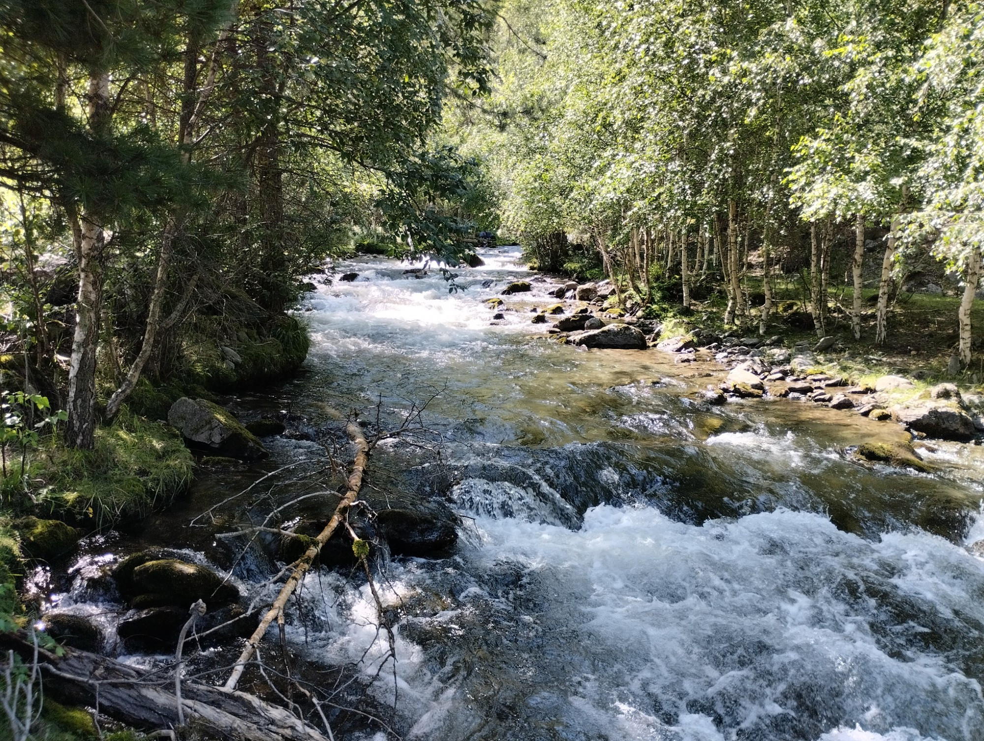 Чулушманская долина, Russia