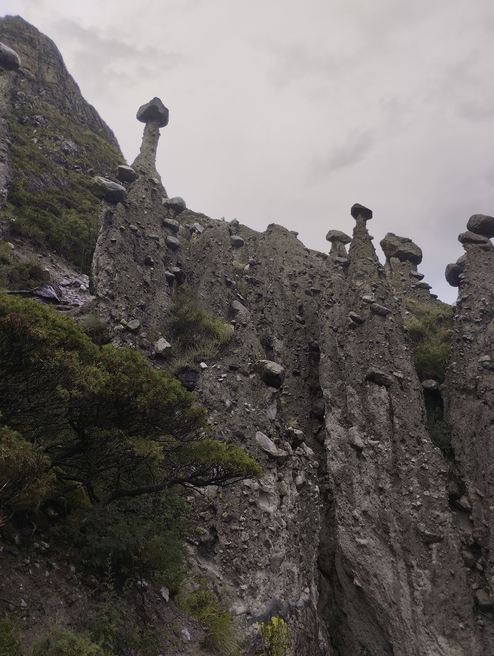 Каменные грибы. Урочище Аккурум, Russia