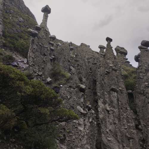 Каменные грибы. Урочище Аккурум, Russia