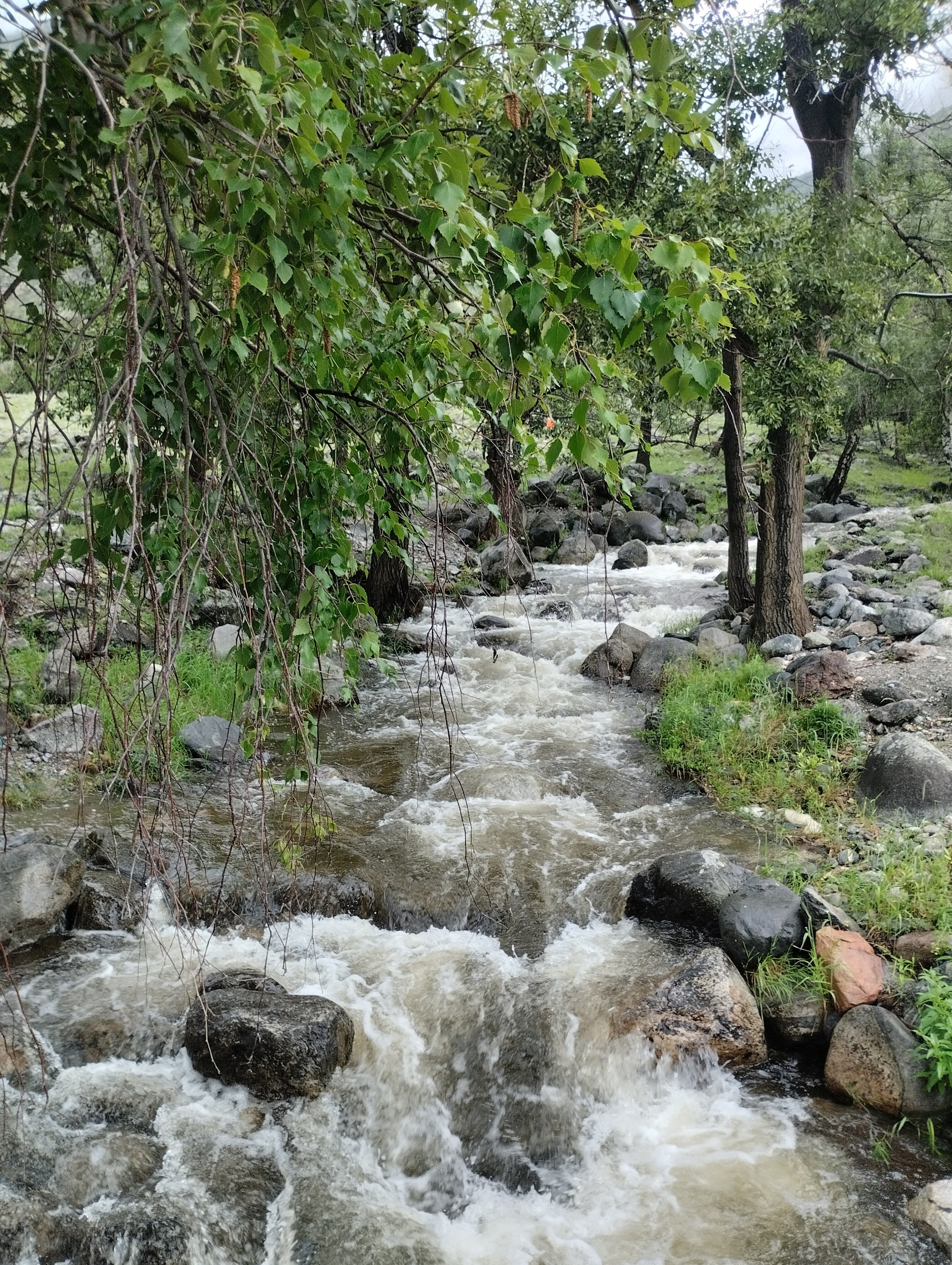 Каменные грибы. Урочище Аккурум, Russia