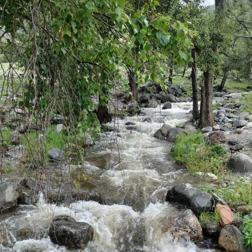 Каменные грибы. Урочище Аккурум, Russia