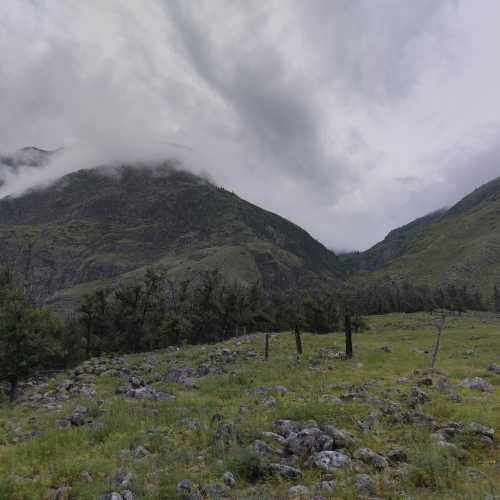 Каменные грибы. Урочище Аккурум, Russia