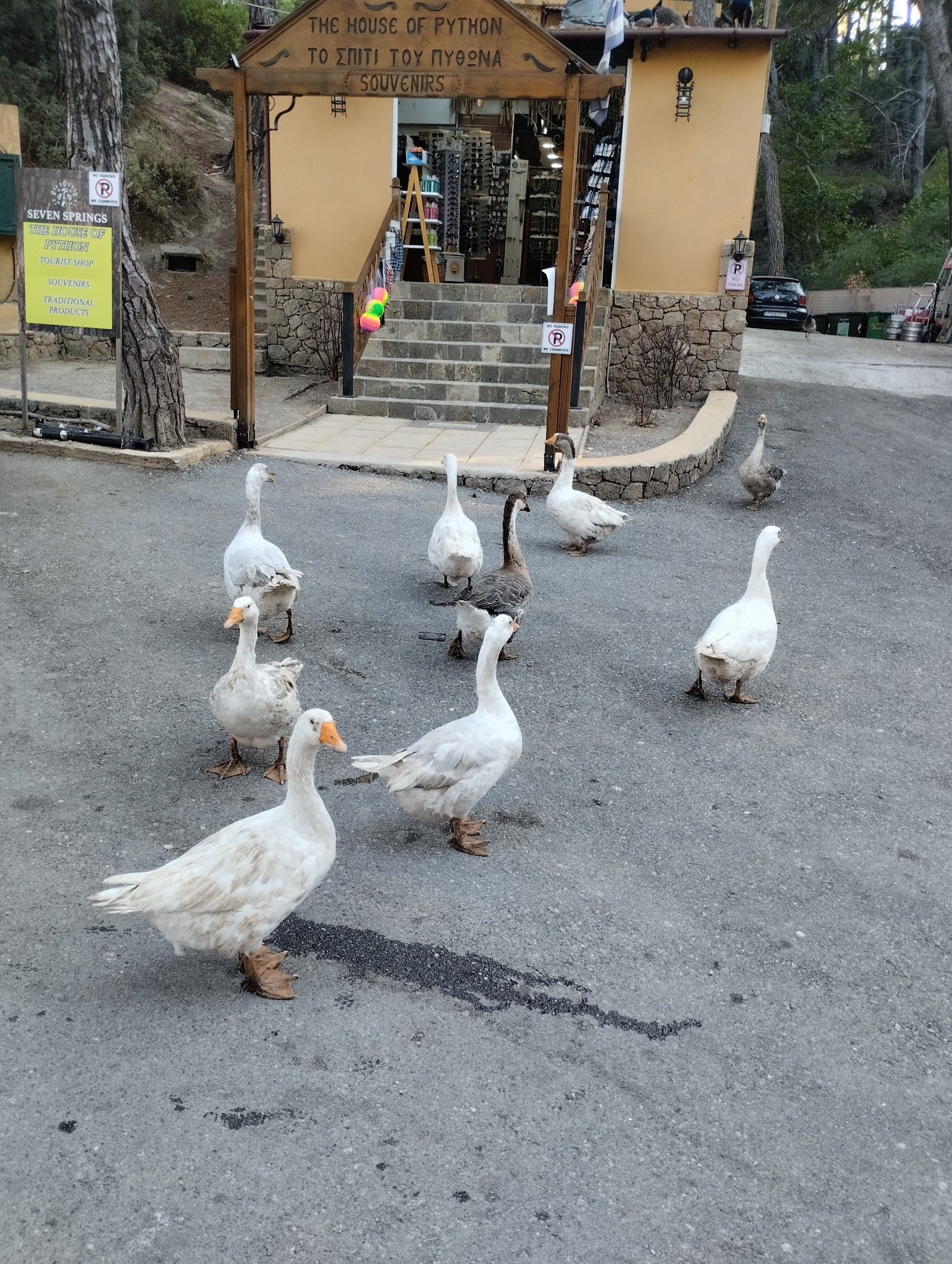 Семь источников на Родосе, Greece