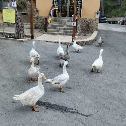 Семь источников на Родосе, Greece