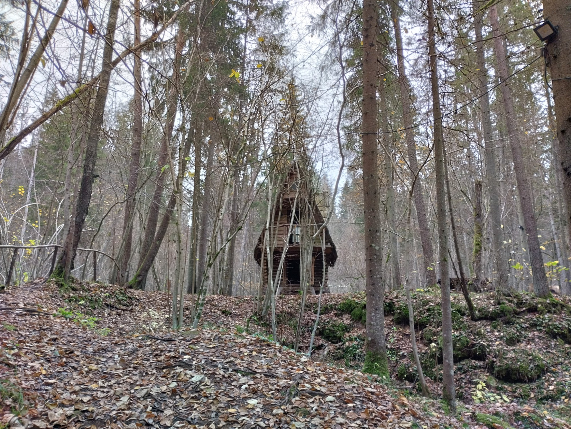 Природная тропа Цецилю, Latvia