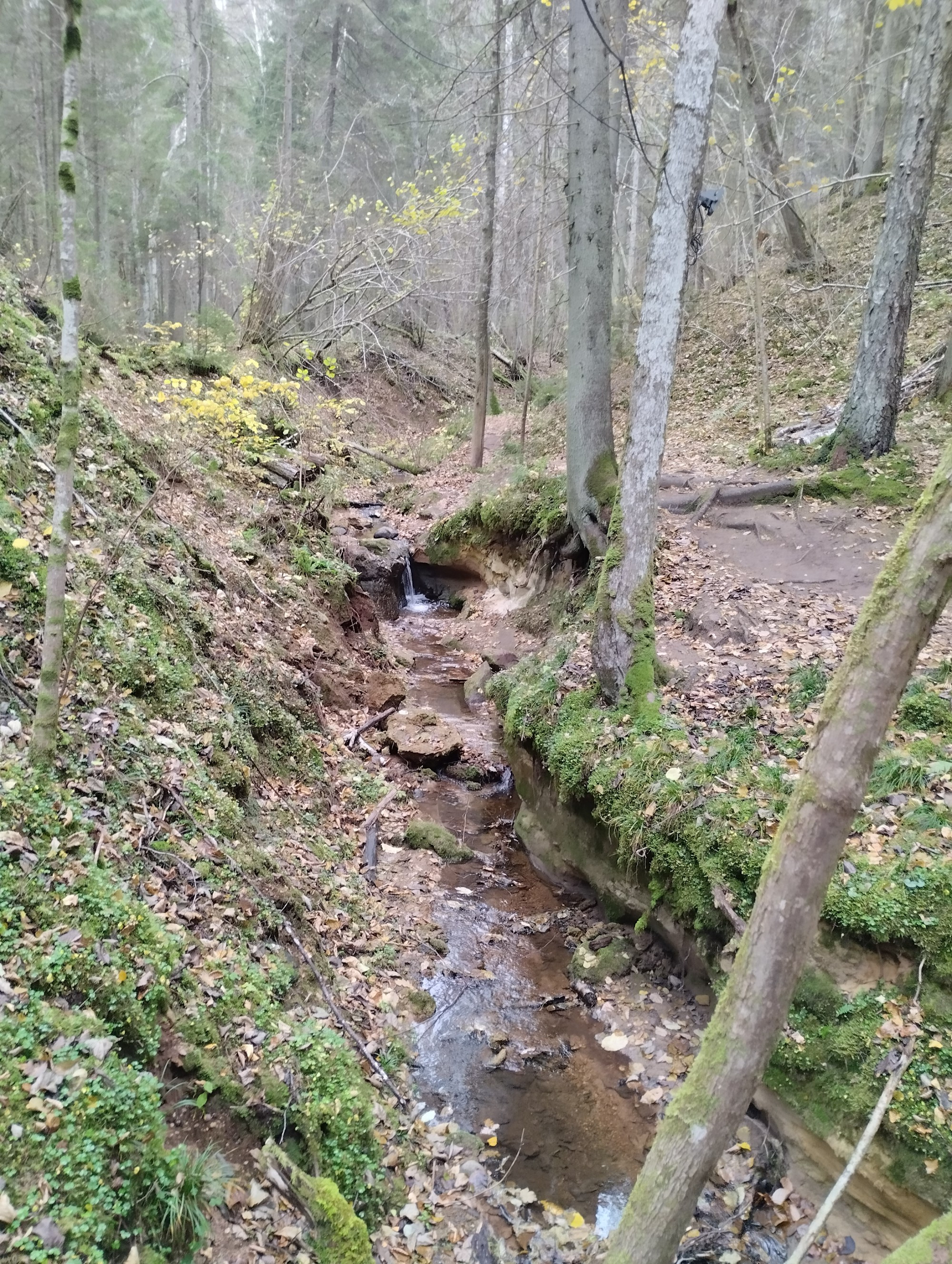 Природная тропа Цецилю, Latvia