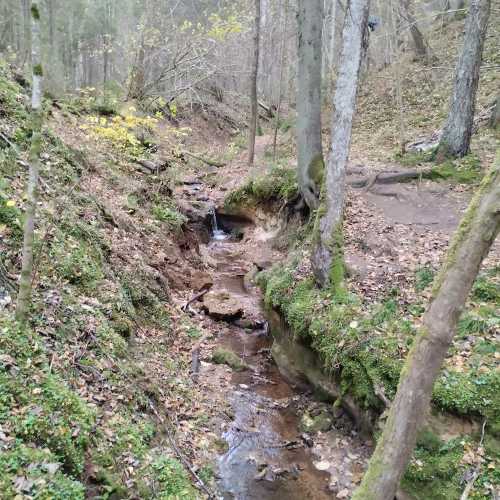 Природная тропа Цецилю, Latvia