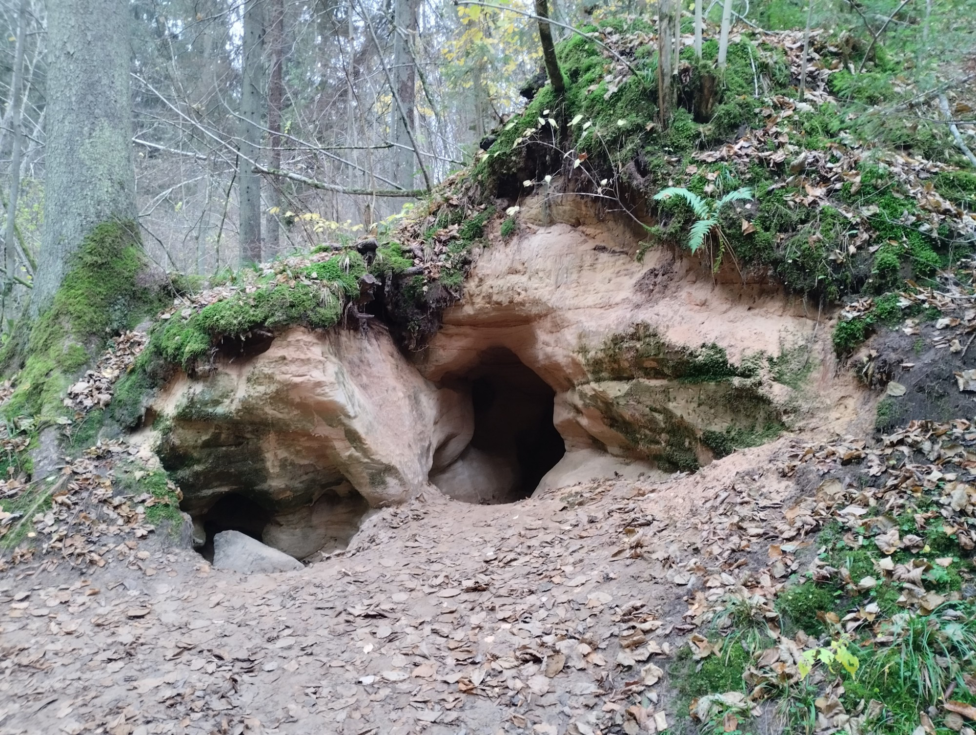 Природная тропа Цецилю, Latvia