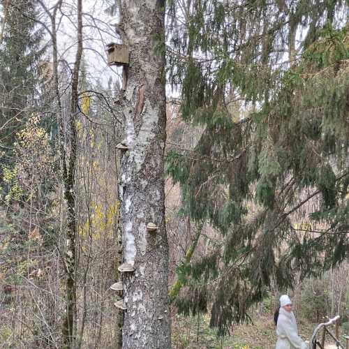 Природная тропа Цецилю, Latvia