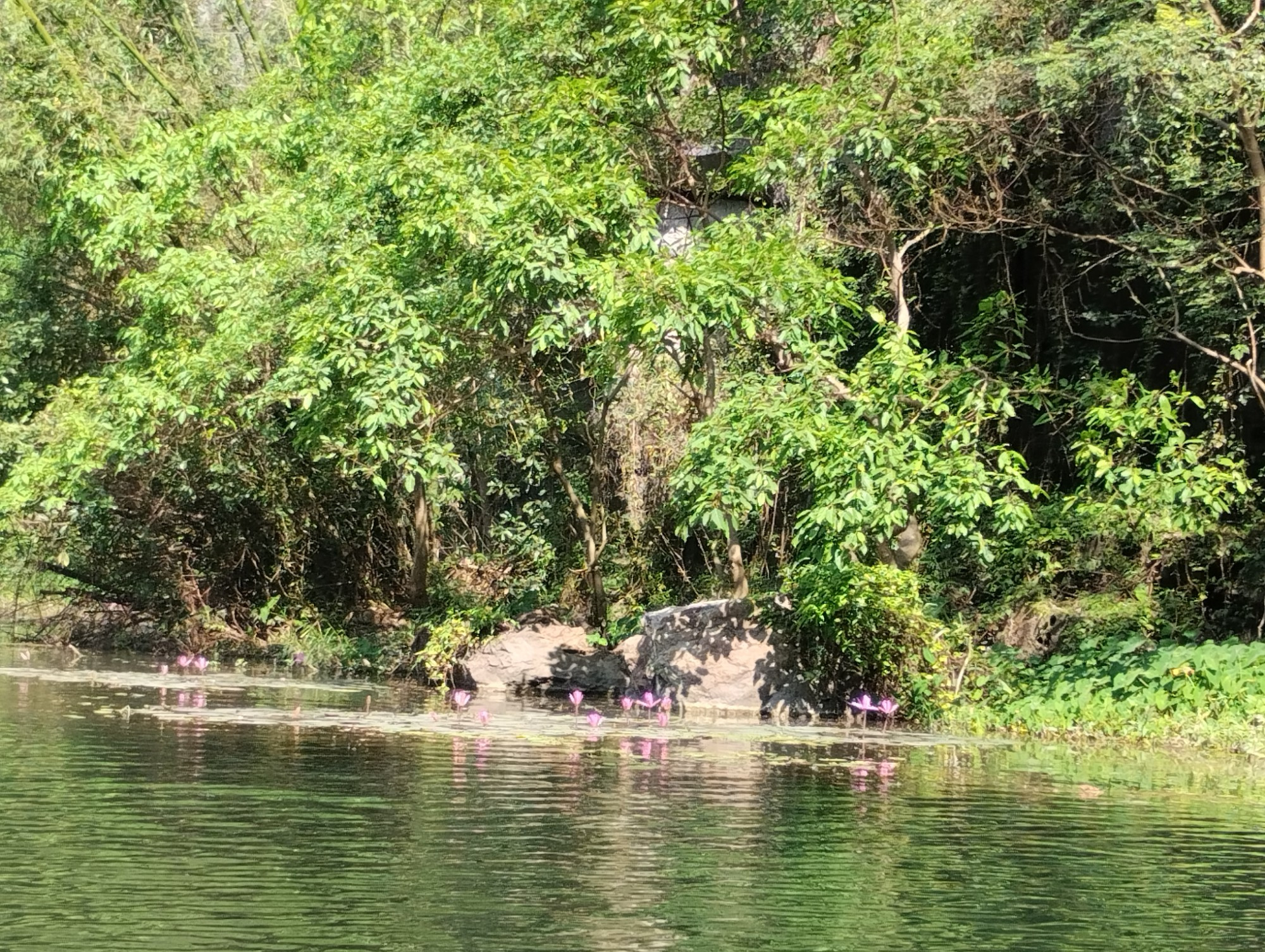 Национальный парк Там Кок, Vietnam