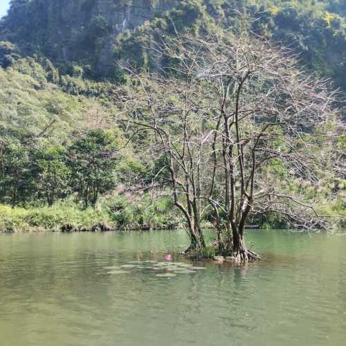 Национальный парк Там Кок, Vietnam