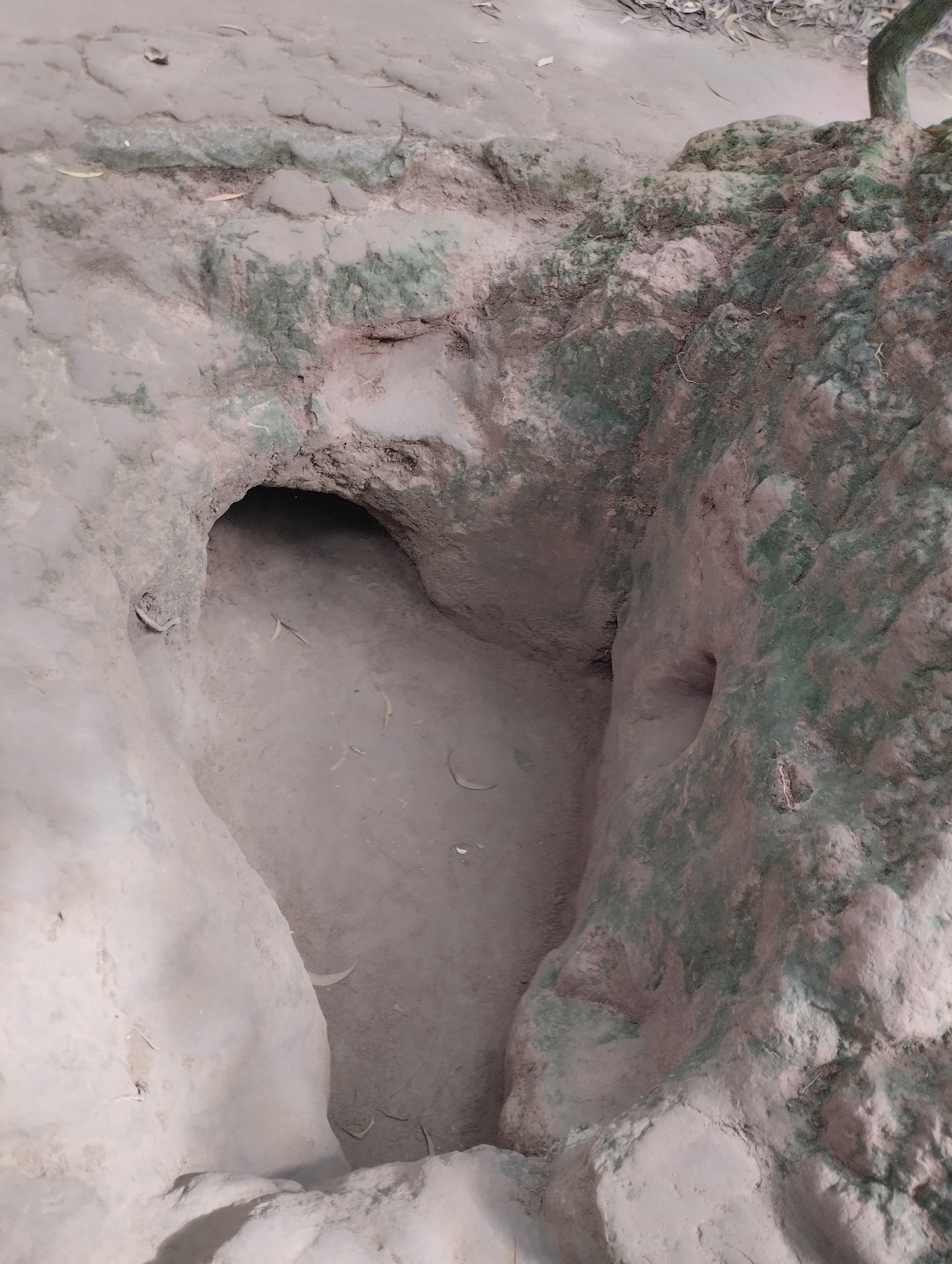 Củ Chi Tunnels, Vietnam