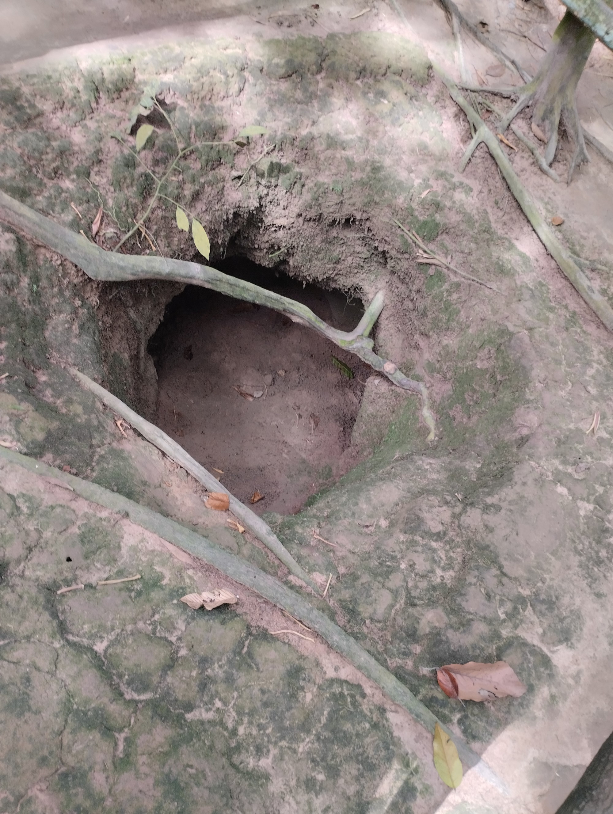 Củ Chi Tunnels, Vietnam