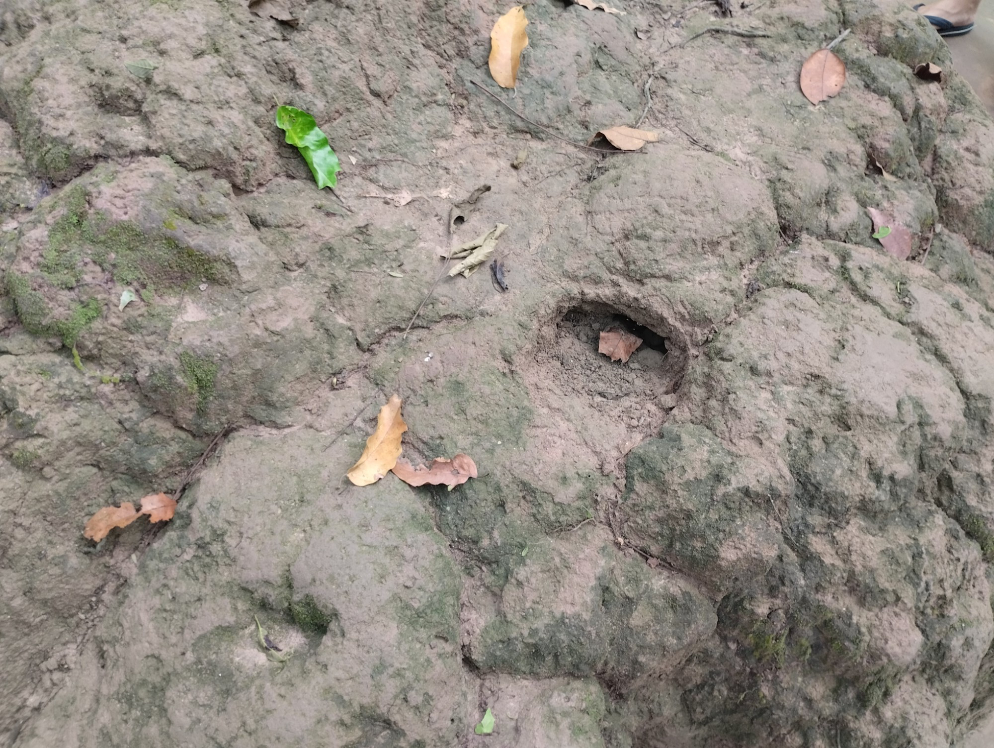 Củ Chi Tunnels, Vietnam