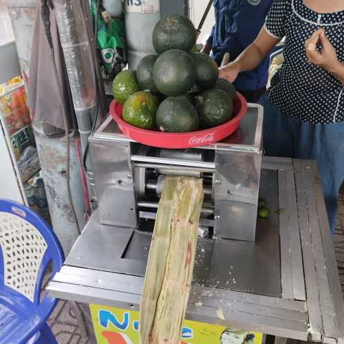 Мангровые леса Канзо, Vietnam