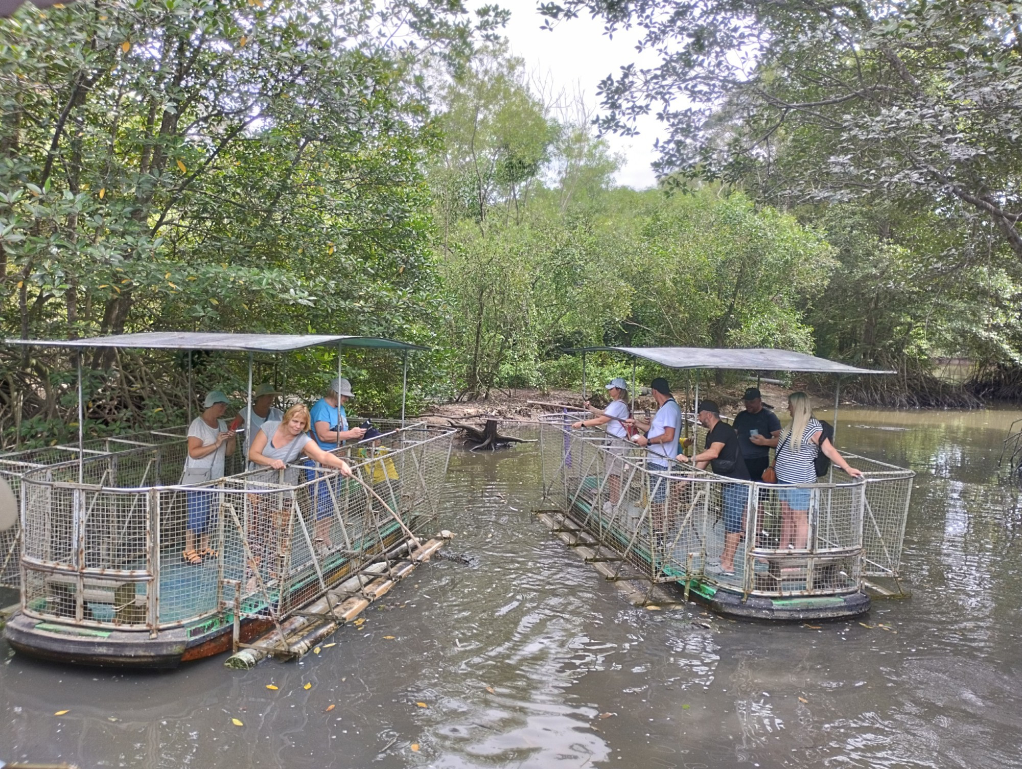 Мангровые леса Канзо, Vietnam