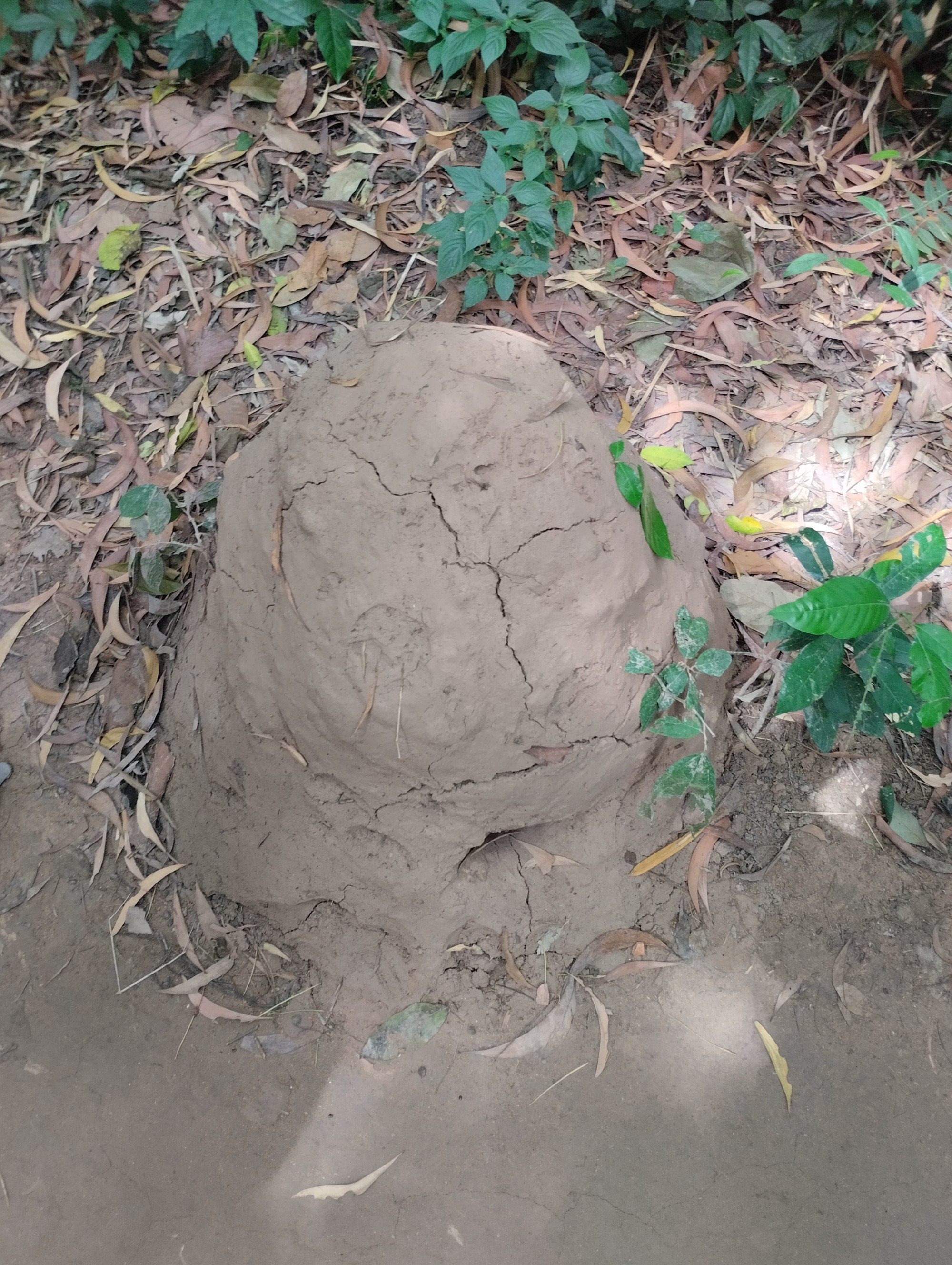 Củ Chi Tunnels, Vietnam