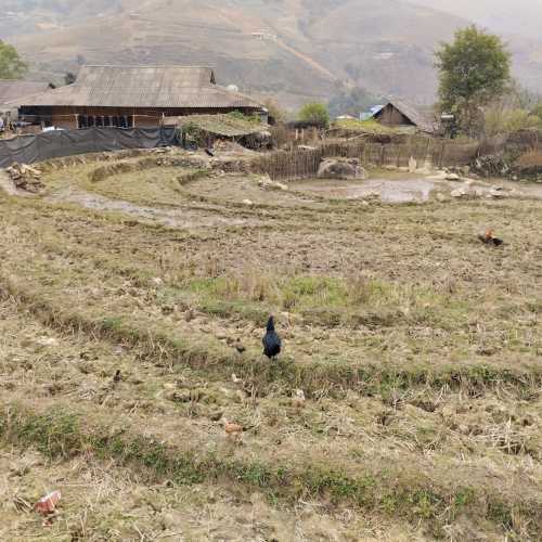 Долина Мынг Хоа, Vietnam