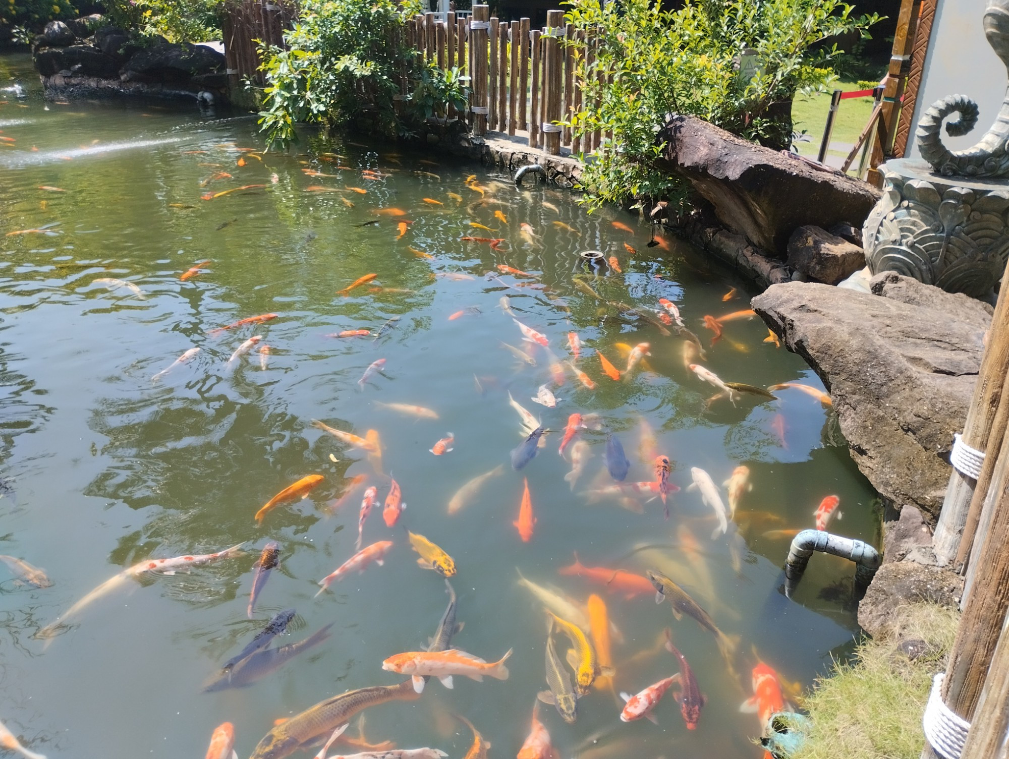 Аквапарк на Ананасовом острове, Vietnam